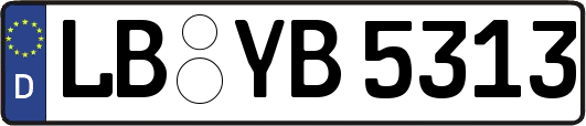 LB-YB5313