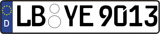 LB-YE9013