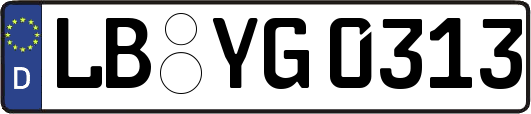 LB-YG0313