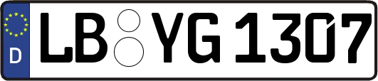 LB-YG1307
