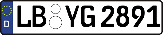 LB-YG2891