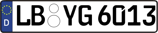 LB-YG6013