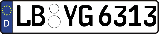 LB-YG6313