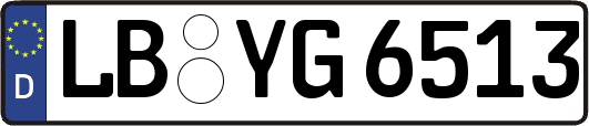 LB-YG6513