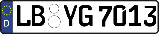 LB-YG7013
