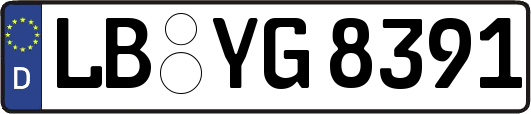 LB-YG8391
