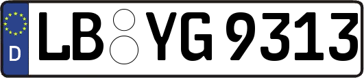 LB-YG9313