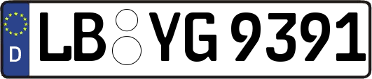 LB-YG9391