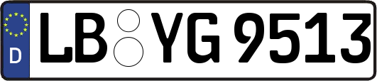 LB-YG9513