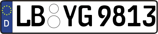 LB-YG9813
