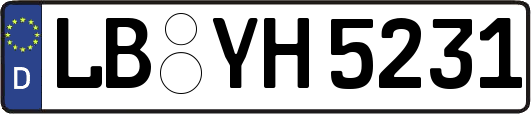 LB-YH5231