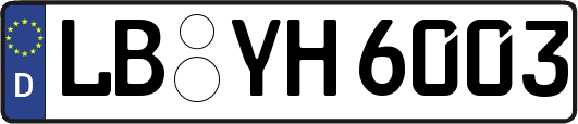 LB-YH6003