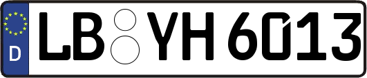 LB-YH6013