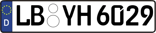 LB-YH6029