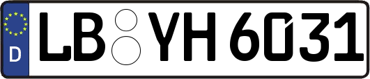 LB-YH6031