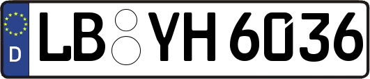 LB-YH6036