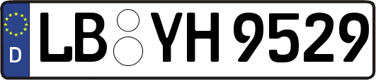 LB-YH9529