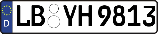 LB-YH9813
