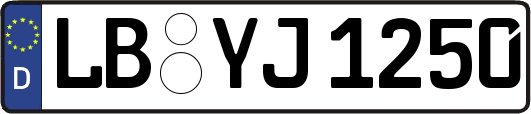 LB-YJ1250