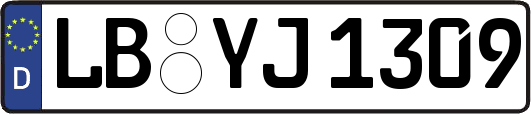 LB-YJ1309