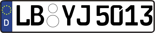 LB-YJ5013