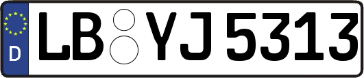LB-YJ5313