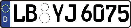 LB-YJ6075