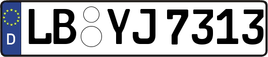 LB-YJ7313