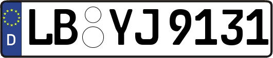 LB-YJ9131