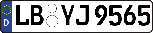 LB-YJ9565