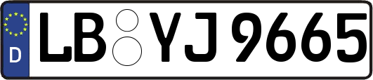 LB-YJ9665