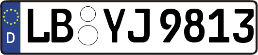 LB-YJ9813