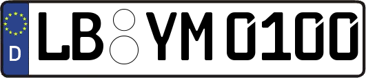 LB-YM0100
