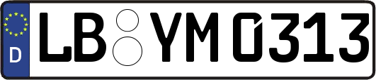 LB-YM0313