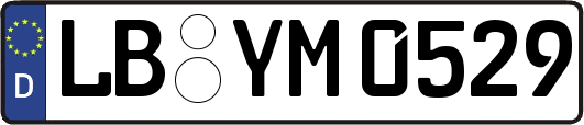 LB-YM0529
