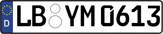 LB-YM0613