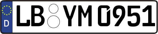LB-YM0951