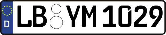 LB-YM1029