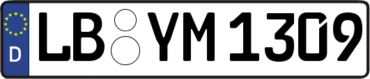 LB-YM1309