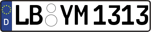 LB-YM1313