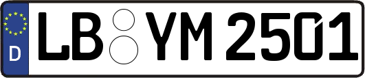 LB-YM2501