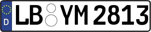 LB-YM2813
