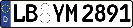 LB-YM2891