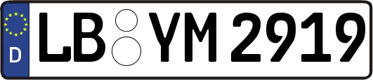 LB-YM2919