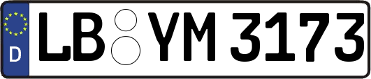 LB-YM3173