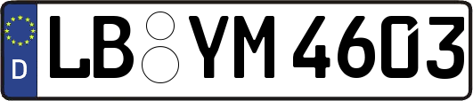 LB-YM4603