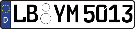 LB-YM5013
