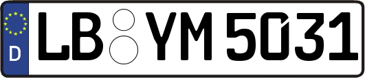 LB-YM5031