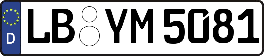 LB-YM5081