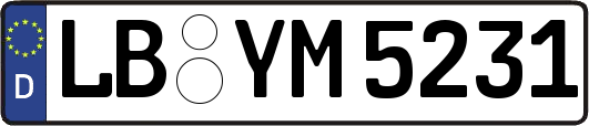 LB-YM5231